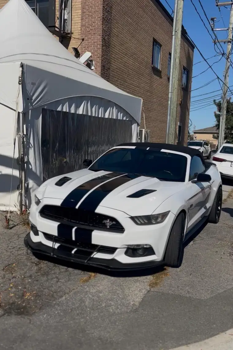 White Ford Mustang GT convertible with black racing stripes after exterior detail